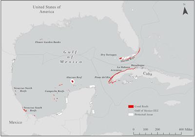 Coral Reefs in the Gulf of Mexico Large Marine Ecosystem: Conservation Status, Challenges, and Opportunities